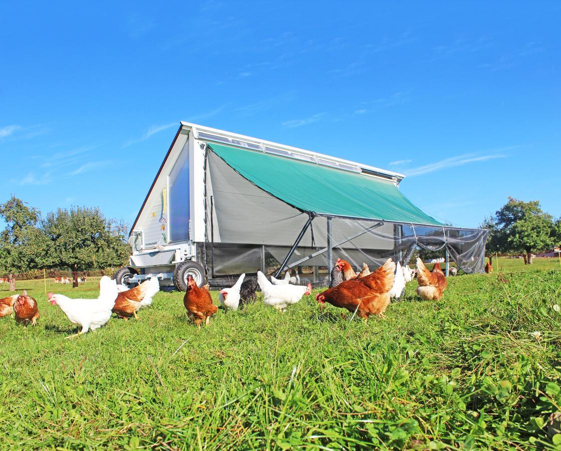 Gasthaus Zum Bauernhof Oberlunkhofen Extérieur photo
